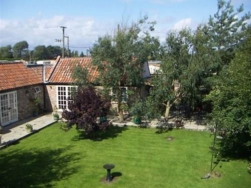 Yew Tree House - B&B Burnham-on-Sea ภายนอก รูปภาพ